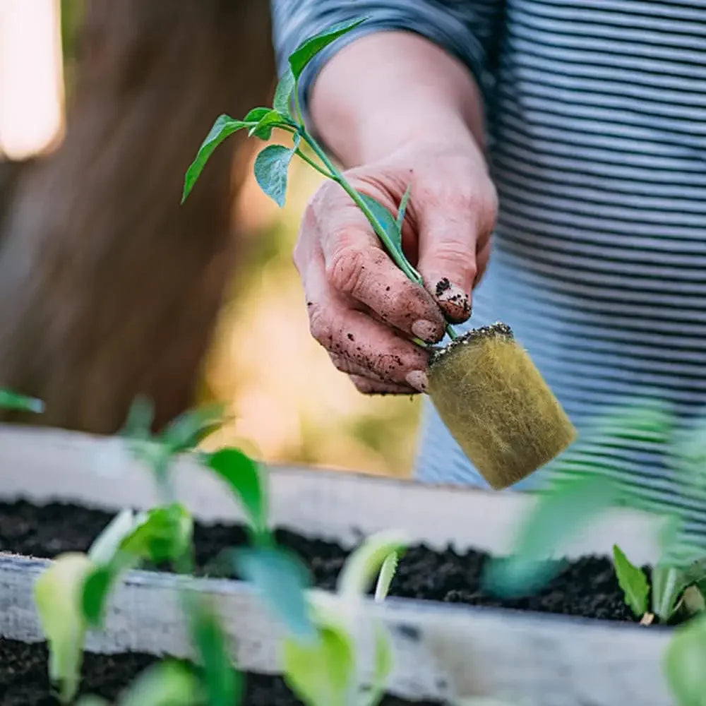 Seedling Grow Plug Sponge Block Starter Stonewool Planting Cubes Soilless Hydroponics Cuttings Garden Plants Propagation Tools