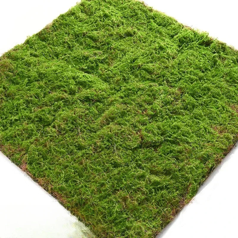 Artificial Turf Moss Wall Synthetic Grassland Fake Faux Grass Simulation Muscu Grass Decor Outdoor Decoration Garden Accessories