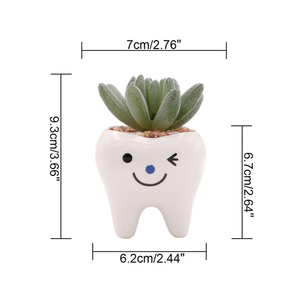Cute Tooth Flowerpots Ceramic Garden Pots Planters Succulent Cactus Vases Decor Home Garden Decorative Tabletop Plant Pot