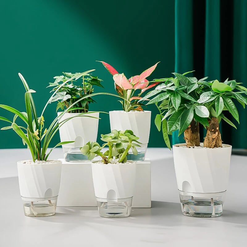 Lazy Self Watering Planter Pots Double Layer Hydroponic Flower Pot Succulent Potted Planters Bonsai Pot Home Office Garden Decor