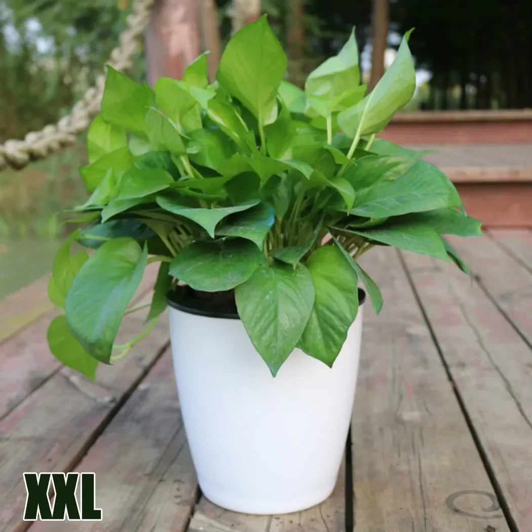 Lazy Plants Flower Pot Imitation Porcelain Home Garden Decor Automatic Water Absorption Self Watering Pot For Plants