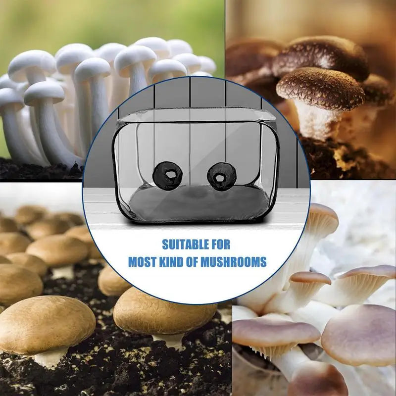 Mushroom Planting Bags Still Air Box Mushroom Tent Propagation Stations Visible Planting Tents Horticulture Supplies For Garden