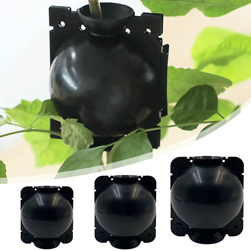 5Pcs Plant Root Growing Boxes Grafting Device Reusable Plant Rooting Device Ball Air Layering Propagation Kit Garden Supplies