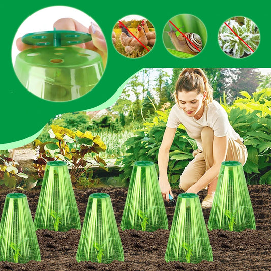 Seedling Plant Cover Snail Protection Mini Greenhouse Reusable Adjustable Breathable Plastic  Growth Box Gardening Supplies