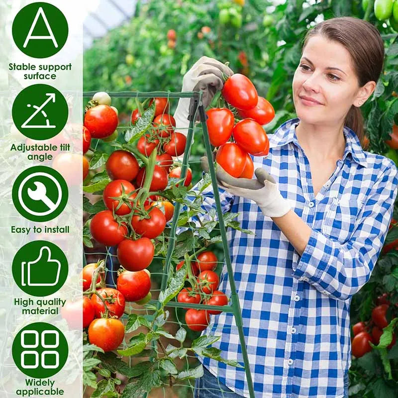 Garden A-Frame Vegetable Plant Climbing Frame Kit Grow Supports Fit Climbing Rustproof Vine Cucumber Trellis Tomatoes Grapes