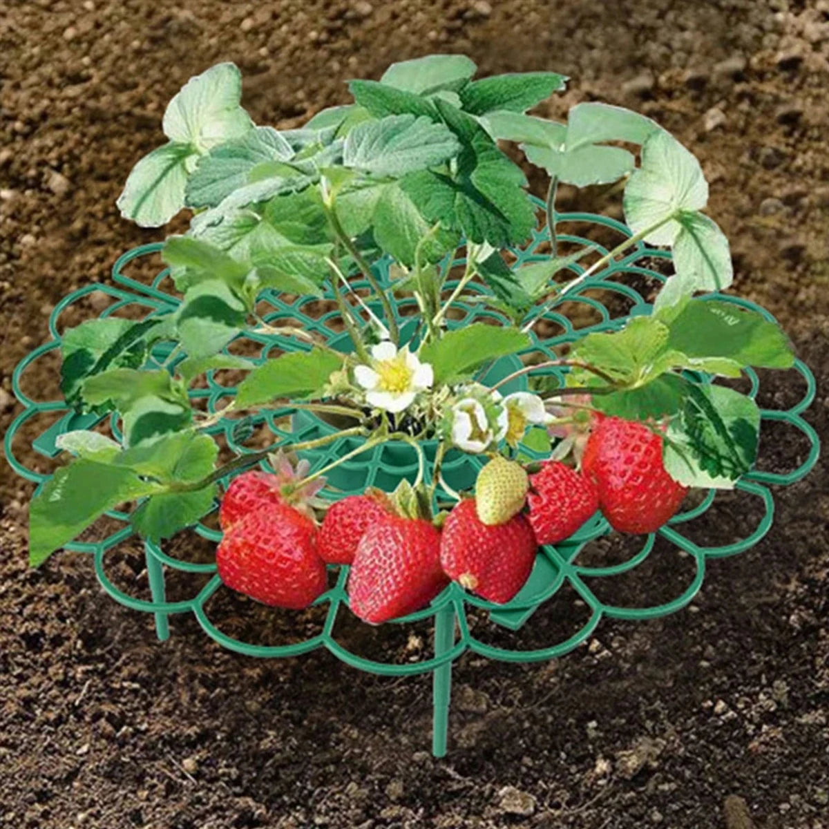 10Pcs Strawberry Supports Strawberry Frame Holder Balcony Planting Rack Plant Flower Stand for Home Garden Decor Supplies