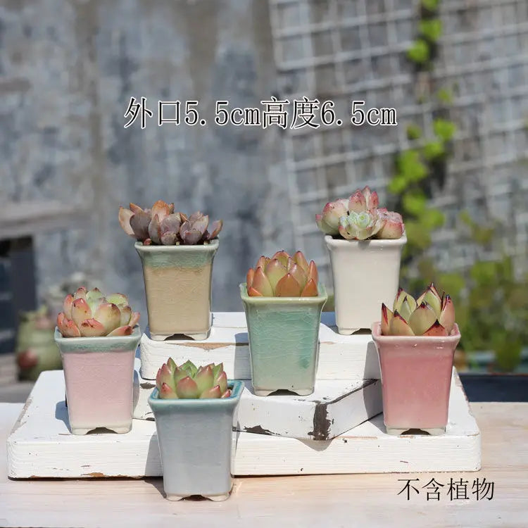 Combination Ceramic Breathable Small Flowerpot Cute Thumb Succulent Plant Flowerpot Home Mini Garden Bonsai Potted Flower Pot