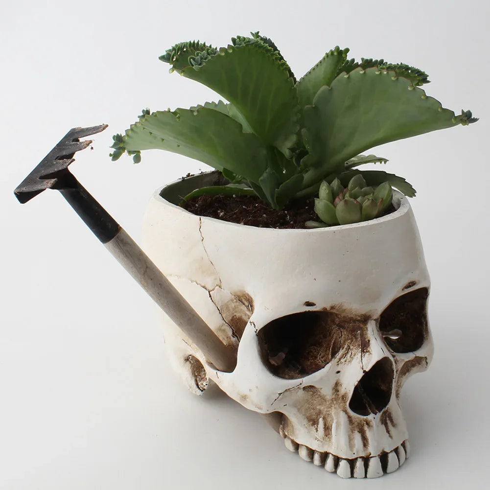 Resin Human Skull Model Flower Pot Shining Fancy Multifunctional Fruit Plate Storage Container Tank Container Home Decor Crafts