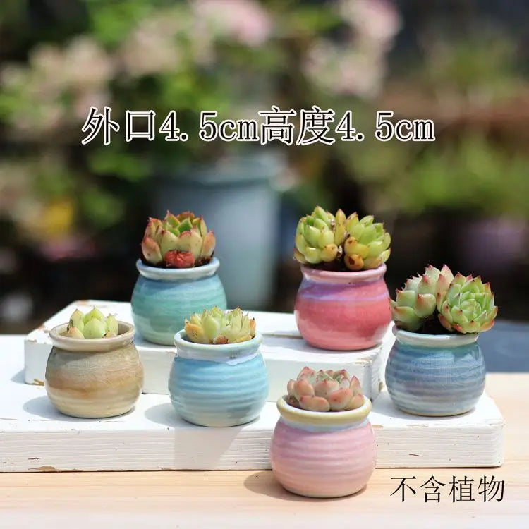 Combination Ceramic Breathable Small Flowerpot Cute Thumb Succulent Plant Flowerpot Home Mini Garden Bonsai Potted Flower Pot