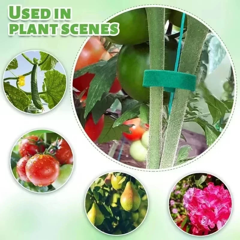 Self Adhesive Garden Tape Support For Plants Growing Climbing Reusable Plant Support Nylon Cable Tie Fastener Garden Accsesories