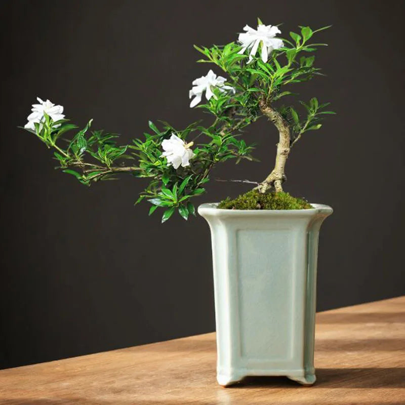 Creative Geyao Ice Crack Chinese Style Orchid Plant Pot Flowerpot Desktop Ornaments Vase Bonsai Container Planter Home Decor