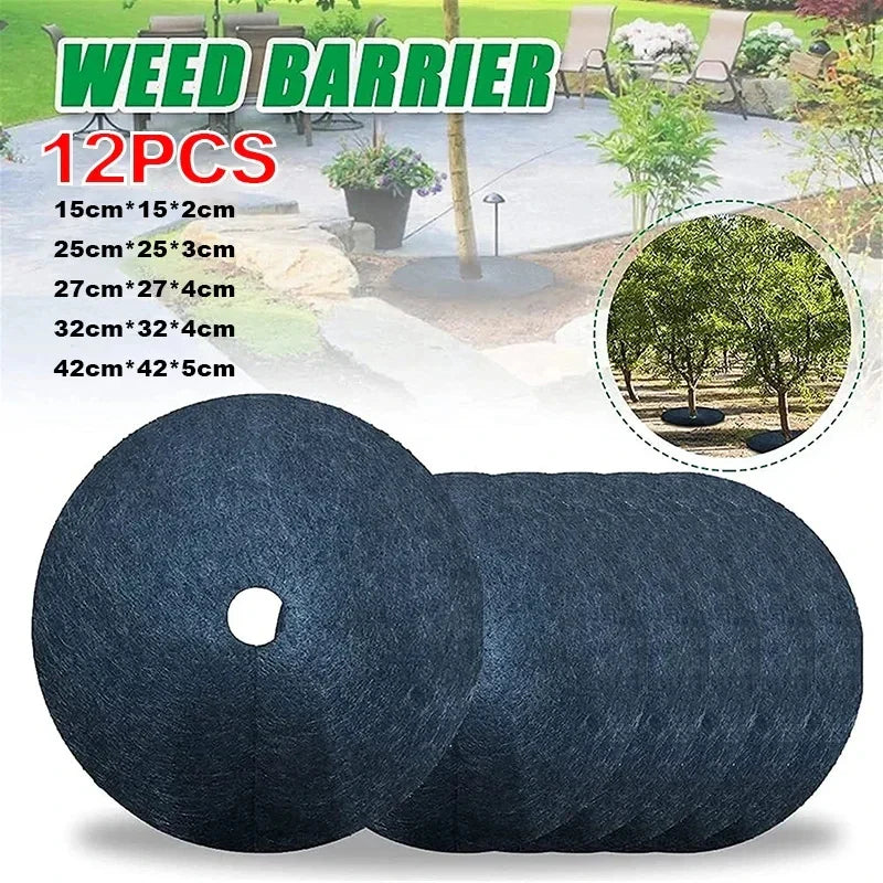 How to Protect Your Trees & Stop Weeds Effortlessly 🌿 | AlluCanFind