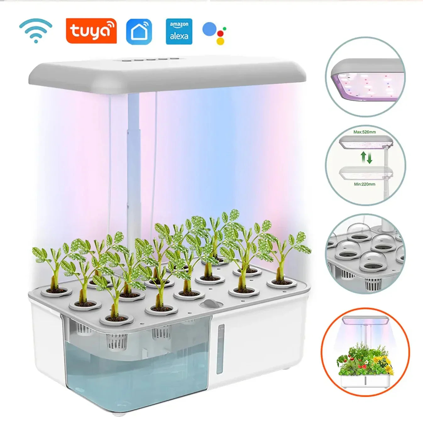 The Future of Freshness: Why Smart Indoor Hydroponics is the Ultimate Kitchen Upgrade