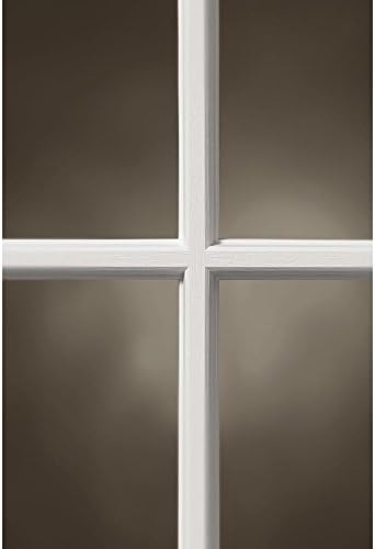 ODL Entry Door Glass Replacement for Home Improvement - 24" x 38" Exterior or Front Door Inserts Glass Kit with Energy Efficient Low-E Double Pane Tempered Glass - White Frame External 9 Grid Pattern