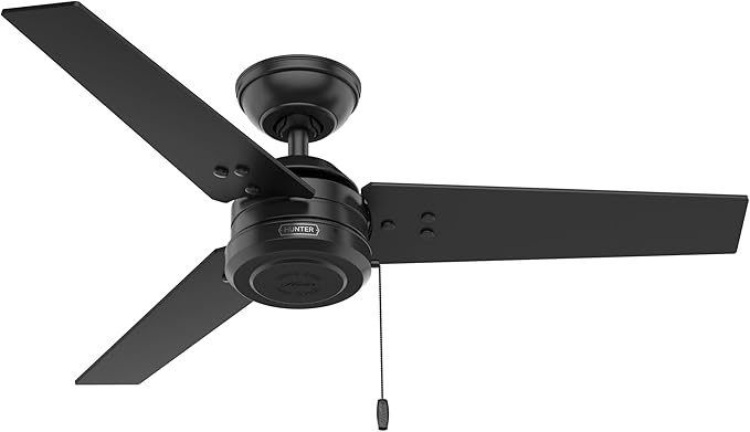 Hunter 44 inch Outdoor or Indoor Ceiling Fan No Light - Black Ceiling Fan without Light, For Patio, Porch, Garage, or Living Room, Standard Mount, 3 Blades, Pull Chain - Cassius 50260, Matte Black