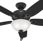 Hunter 52 inch Indoor Ceiling Fan with LED Light - Black Ceiling Fan with Pull Chain, For Bedroom or Living Room, Standard Mount, No Remote, 5 Blades, Includes Bulbs- Builder Deluxe 52386, Matte Black