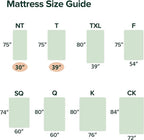 Zinus 12 Inch Queen Cooling Essential Memory Foam Mattress [NewVersion], Fiberglass Free, Medium Feel, Breathable Cooling Layers, Certified Safe Materials