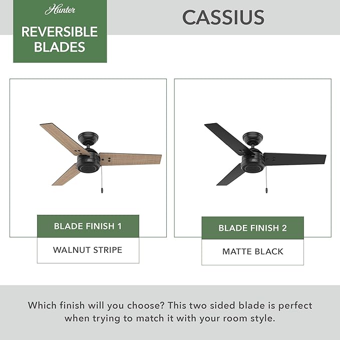 Hunter 44 inch Outdoor or Indoor Ceiling Fan No Light - Black Ceiling Fan without Light, For Patio, Porch, Garage, or Living Room, Standard Mount, 3 Blades, Pull Chain - Cassius 50260, Matte Black