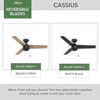 Hunter 44 inch Outdoor or Indoor Ceiling Fan No Light - Black Ceiling Fan without Light, For Patio, Porch, Garage, or Living Room, Standard Mount, 3 Blades, Pull Chain - Cassius 50260, Matte Black