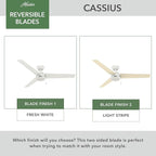 Hunter 52 inch Outdoor or Indoor Ceiling Fan No Light - White Ceiling Fan without Light, For Patio, Porch, Garage, or Living Room, Standard Mount, 3 Blades, Pull Chain - Cassius 59263, Fresh White