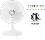 Holmes 12 Inch Oscillating Table Fan 3 Speeds 75 Degree Wide Angle Oscillation 15 Degree Adjustable Head Tilt Quiet Cooling for Home Office Bedroom Manual Control White