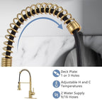 DJS Kitchen Faucets with Pull Down Sprayer Brushed Gold High Arc Single Handle 1 or 3 Holes Spring Kitchen Sink Faucet with Deck Plate for Farmhouse RV Vessel Basin