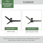 Hunter 52 inch Outdoor or Indoor Ceiling Fan No Light - Black Ceiling Fan without Light, For Patio, Porch, Garage, or Living Room, Standard Mount, 3 Blades, Pull Chain - Cassius 59264, Matte Black