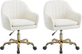 Vanity Chair with Wheels, Comfy Home Office Desk Chairs Adjustable Modern Velvet Makeup Vanity Chairs for Bedroom Living Room-Beige Pack of 2