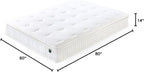 Zinus Lumbar+ Premium 14 Inch Memory Foam Mattress, Lumbar Support, Targeted Pressure Relief, Cooling Gel and Green Tea, Cool-to-The-Touch Cover, Medium Firm Feel, CertiPUR US Certified, Queen