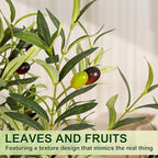 Olive Trees Artificial Indoor, 5FT Tall Faux Olive Tree with White Tall Planter, Artificial Plants with Natural Wood Trunk and Lifelike Fruits for Home Office Decor