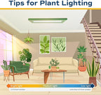 Costa Farms Live Indoor House Plants (3-Pack), Hand Selected Easy to Maintain Indoor Assorted Houseplants in Plant Pots, Curated Air Purifying Mix, Low Light, Home Office Decor Plant Gift