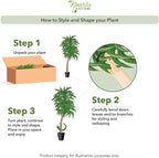Nearly Natural 48in Artificial Dracaena with Real Touch Leaves and Multi Tonal Trunks, Large Indoor Silk Plant with Pot, Maintenance Free For Living Room And Home Office Decor