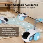 Turbo Tail 5.0 Remote Control Interactive Cat Toy