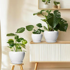 Ceramic Pot for Plants - 8 Inch Ceramic Planter for Indoor Plants, Modern Round Planter with Drainage Hole and Saucer, Plant Lover Gifts, Home Office Garden Decor, White
