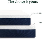 ZINUS 10 Inch Full Cooling Comfort Hybrid Mattress [New Version], Fiberglass Free, Medium Firm Feel, Motion Isolation, Certified Safe Foams & Fabric