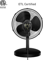 Holmes 12 Inch Oscillating Table Fan 3 Speeds 75 Degree Wide Angle Oscillation Adjustable 15 Degree Tilt Quiet Operation Home Office Bedroom Kitchen Black