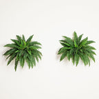 Nearly Natural 40in Hanging Artificial Fern Plant, Set of 2 - Realistic Silk Plant, Faux Greenery For Home Living Room Decor Natural Look Low Maintenance