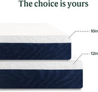 Zinus 12 Inch Queen Cooling Comfort Hybrid Mattress [New Version], Fiberglass Free, Medium Firm Feel, Motion Isolation, Certified Safe Foams & Fabric