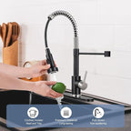 DJS Kitchen Faucets with Pull Down Sprayer Matte Black & Brushed Nickel High Arc Single Handle 1 or 3 Holes Spring Kitchen Sink Faucet with Deck Plate for Farmhouse RV Vessel Basin