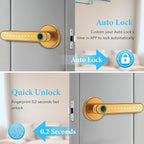 Fingerprint Door Lock Biometric Door Knob with Keypad Keyless Entry, Door Locks for Bedrooms, Home Hotel Office Apartment Gold