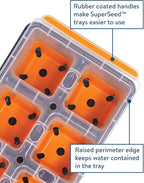 Burpee SuperSeed Windowsill Seed Starting Tray| 8 XL Cell| Reusable & Dishwasher Safe| for Vegetable, Flower & Herb Seeds| Window Garden Seed Starter Kit| Green