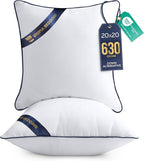 Utopia Bedding Throw Pillow Inserts (Pack of 2, White), 20 x 20 Inches Decorative Indoor Pillows for Sofa, Bed, Couch, Cushion Sham Stuffer