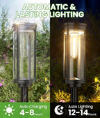 BITPOTT Bright Solar Pathway Lights, 12 Pack Solar Lights Outdoor Waterproof IP65, Auto On/Off Outdoor Garden Decorative Landscape Lighting for Walkway Driveway Lawn Patio Yard