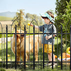 Garden Fence 24" H x 24" W (5 Panels, Total 10 ft), Metal Fence Decorative Border Fence, Rustproof Landscape Fencing for Dog, Flower Bed, Yard, Patio, Animal Barrier