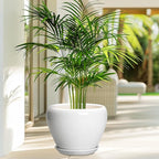 Ceramic Pot for Plants - 8 Inch Ceramic Planter for Indoor Plants, Modern Round Planter with Drainage Hole and Saucer, Plant Lover Gifts, Home Office Garden Decor, White