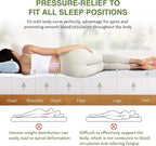 EGOHOME 6 Inch Full Size Mattress for Kids, Memory Foam Mattress with Cooling Green Tea Gel, Relieve Pressure with Medium Firm Support, CertiPUR-US Certified, 75''L x 54''W, White