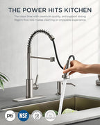FORIOUS Kitchen Faucet with Soap Dispenser, Brushed Nickel Stainless Steel Spring Sink Faucet with Pull Down Sprayer Transitional Single Handle for Pot Filler, Farmhouse Camper Bar Laundry Room
