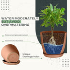 Utopia Home - Plant Pots Indoor with Drainage - 7/6.6/6/5.3/4.8 Inches Home Decor Flower Pots - Plastic Planters for Indoor Plants, Cactus, Succulents Pot (Terracotta, Pack of 10)