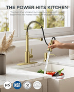 FORIOUS Kitchen Faucet with Soap Dispenser, Gold Stainless Steel Spring Sink Faucet with Pull Down Sprayer Transitional Single Handle for Pot Filler, Farmhouse Camper Bar Laundry Room