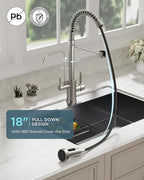 FORIOUS Kitchen Faucet with Purfied Water Filter, 2 in 1 Commercial Stainless Steel Pull Down Sink Faucet and Drinking Water Faucet 2 Handle for Pot Filler Kitchen Sink Farmhouse Bar, Brushed Nickel